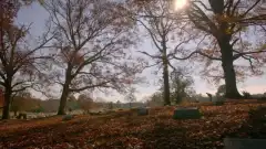 Кобра Кай 1 сезон 5 серия